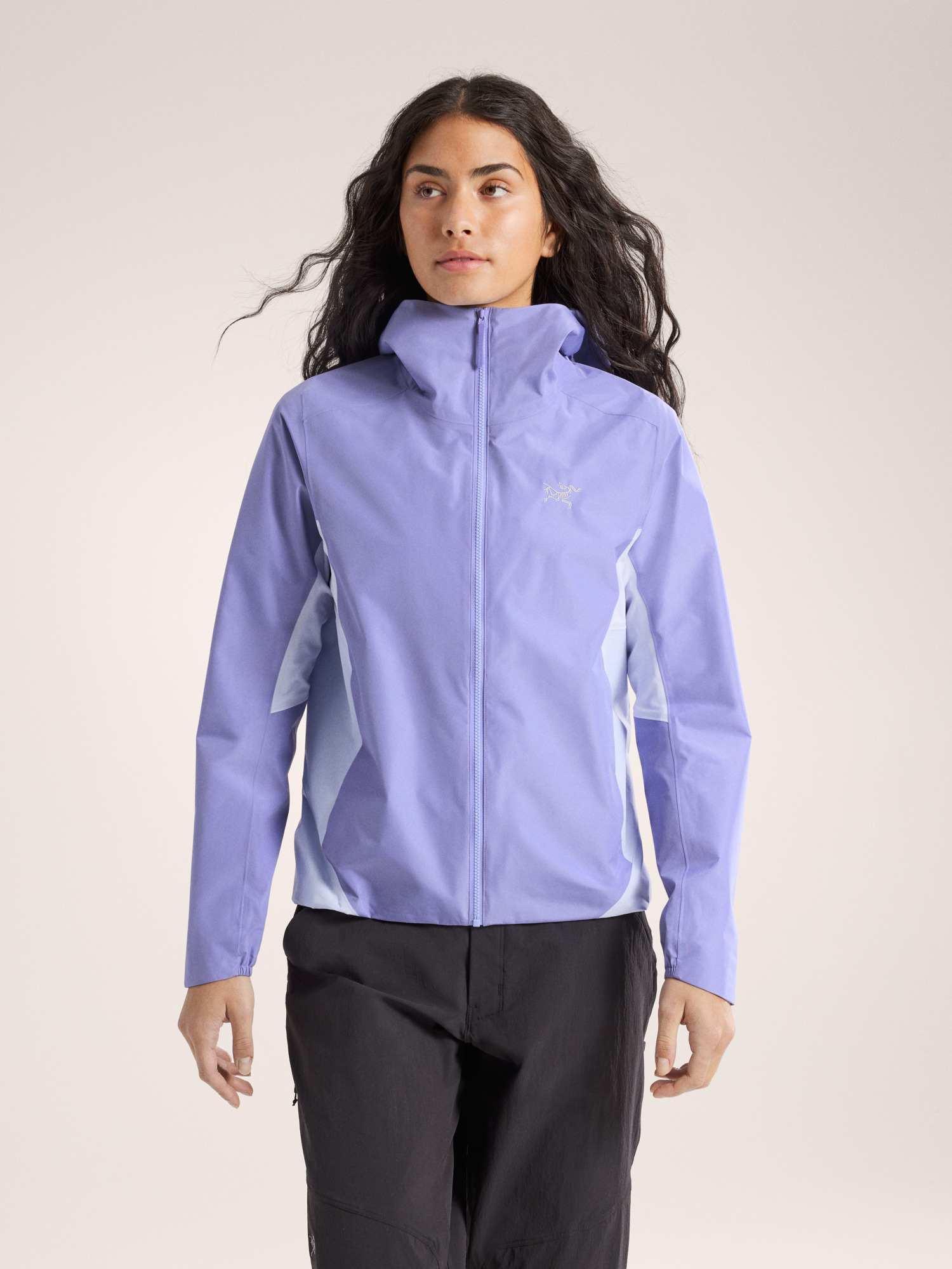 Arcteryx Solano Hoody Women's