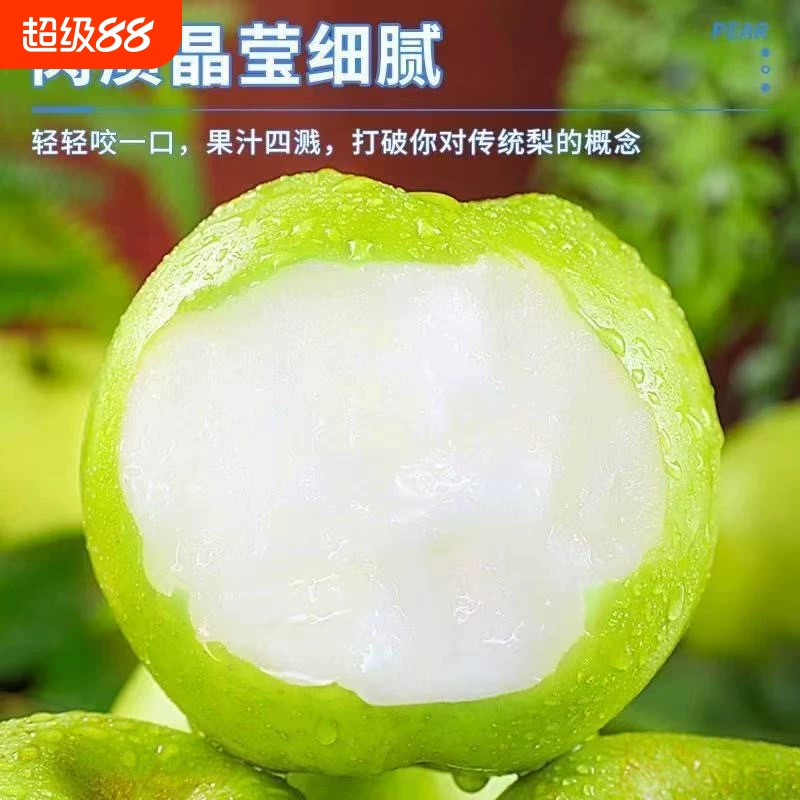 头茬翠玉青皮皇冠梨净重8斤