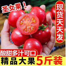26.9元包邮！果迎鲜 千禧圣女果5斤