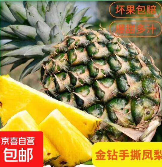 6.16海南三亚金钻凤梨0.8斤