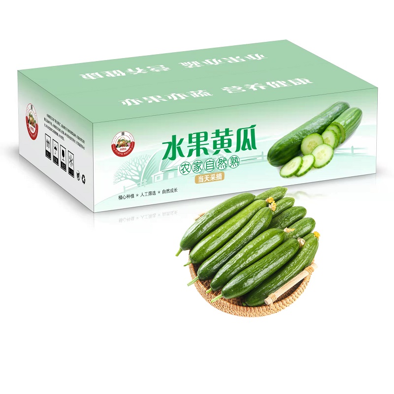 【自营包邮】京地达 山东水果小黄瓜 严选5斤装