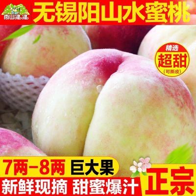 PDD热销产品汇总14点档更新2023/07/19