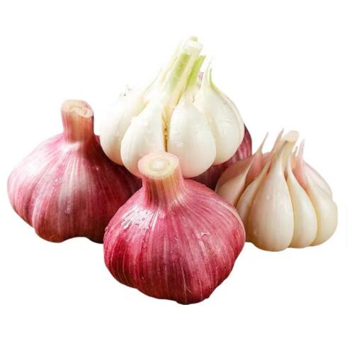 19.9元包邮！云南紫皮大蒜 5斤农家嫩蒜头