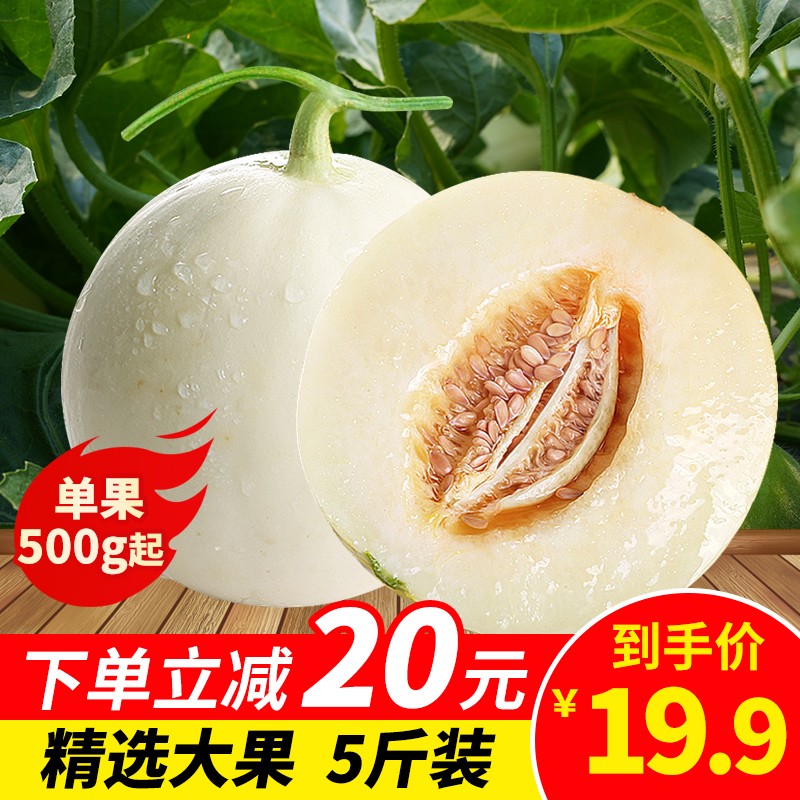 【旗舰店】陕西阎良新鲜甜瓜 5斤超值装(单瓜450g-700g)