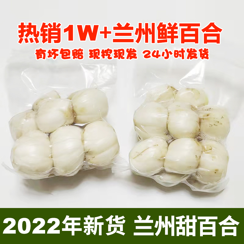 【旗舰店】小马乐活  兰州鲜百合 2袋共24-30颗约500g