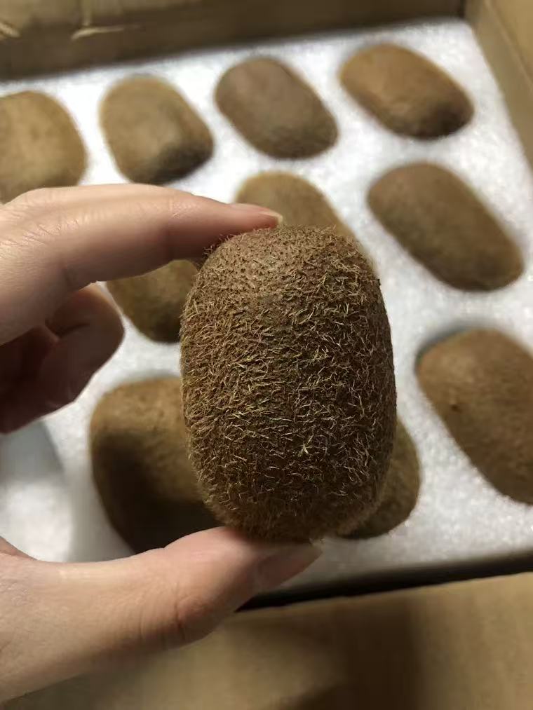 0_2
