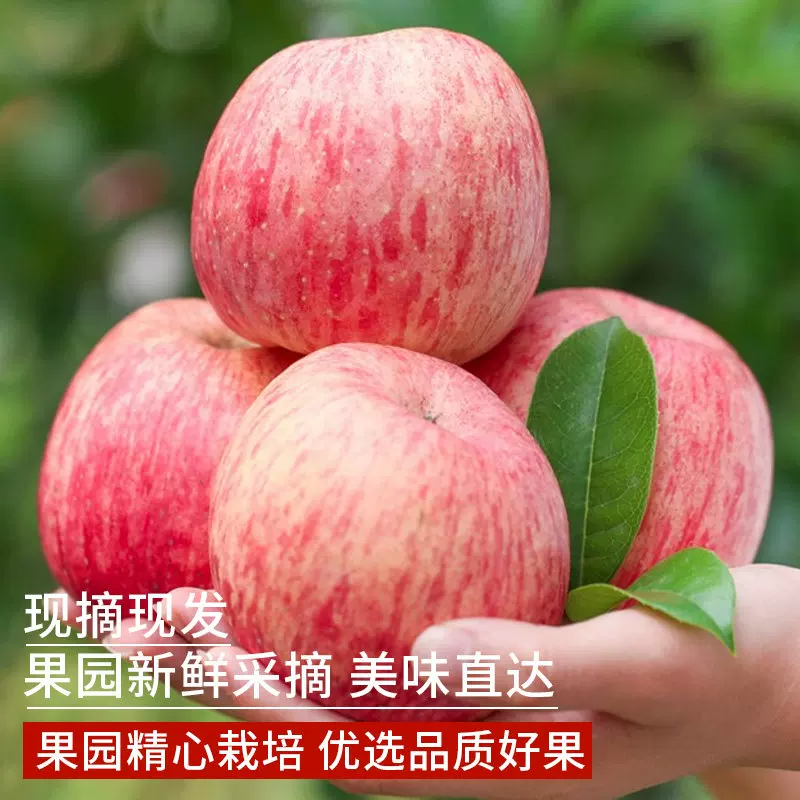 烟台红富士苹果4.5斤