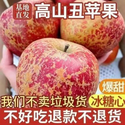 PDD热销产品汇总08点档更新2024/10/12
