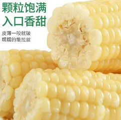 15.9元包邮！东北白糯玉米10棒（单支220g+）（好评商家返5元）