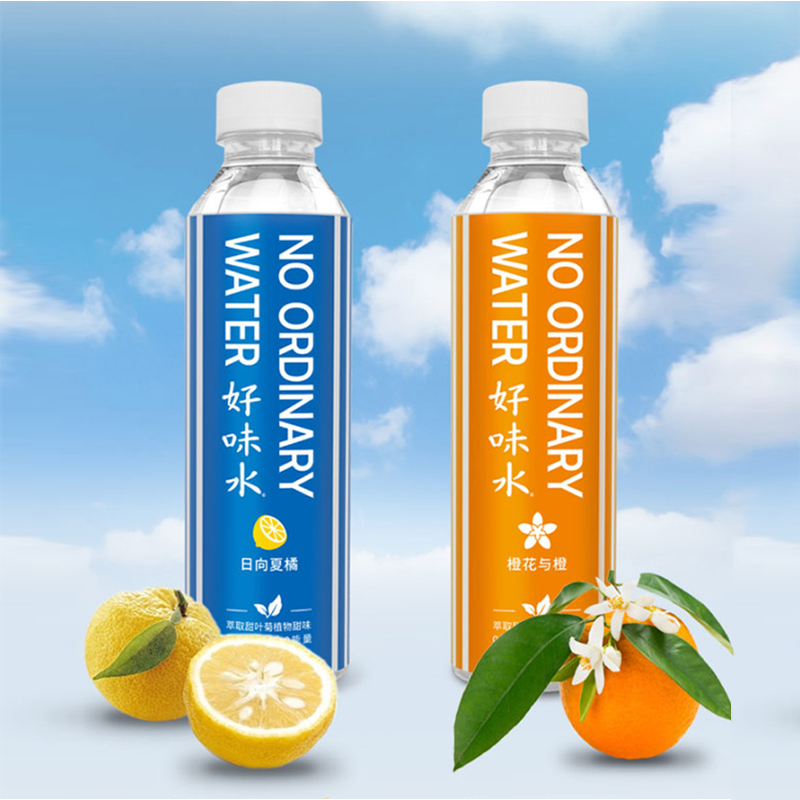 有饮NODinc风味水饮料480ml*4瓶