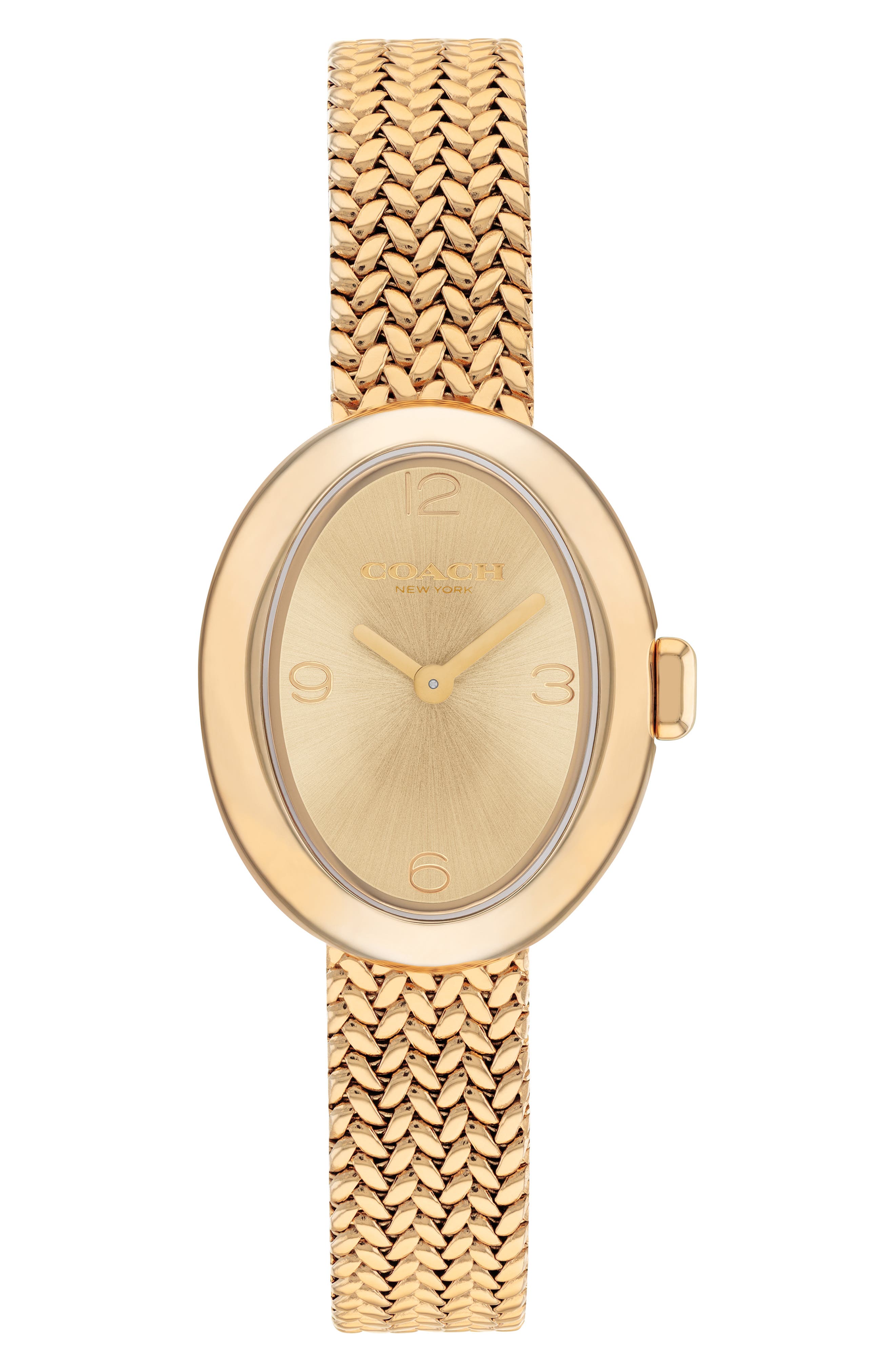 COACH Sammy Mesh Strap Watch, 22.5mm