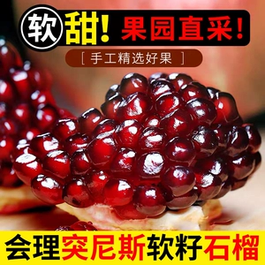 正宗四川会理突尼斯软籽石榴新鲜孕妇水果应当季产地直发现摘大果