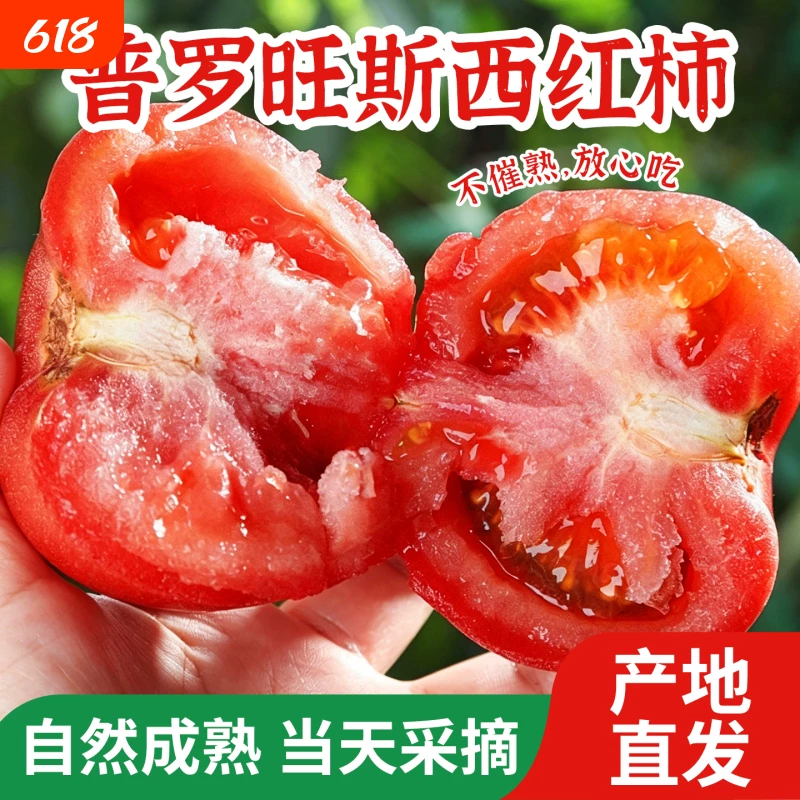 正宗普罗旺斯！水果西红柿带箱5斤装