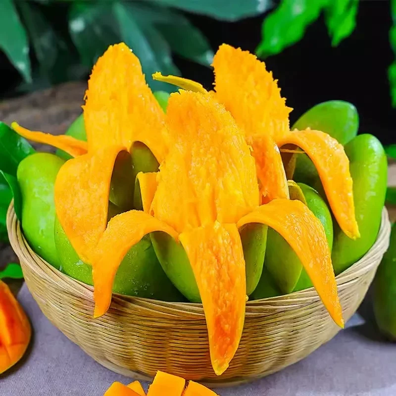 【忠橙】青皮大青芒净重4.5斤（单果300g+）