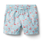 Boy Clearwater Flamingo短裤