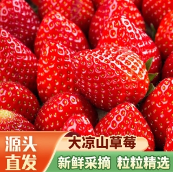 49.8元包邮！鲁禧 大凉山草莓（净重2.5斤+）*2件