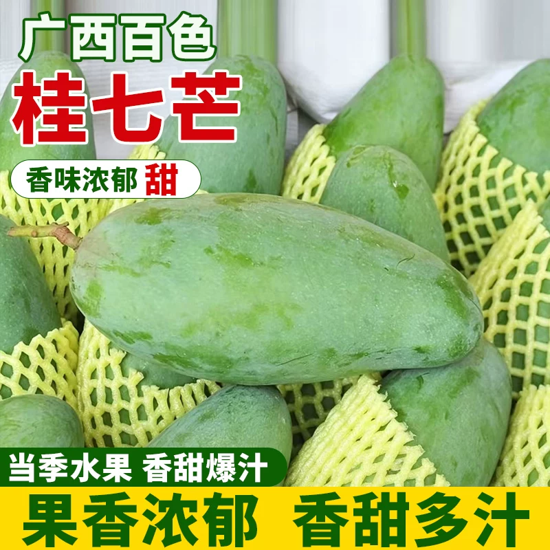 广西百色现摘桂七芒4.5斤
