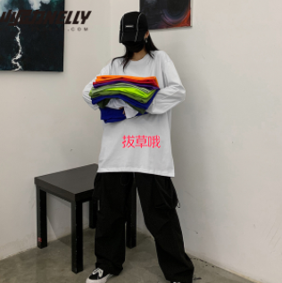 17元包邮！INS纯棉22韩国ins复古基础款纯色秋季打底衫