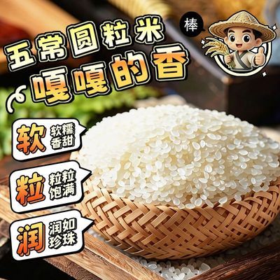 PDD热销产品汇总02点档更新2026/06/22