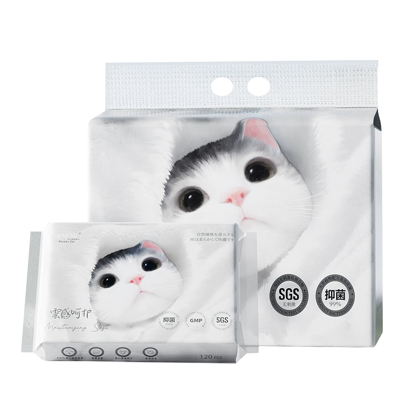 T猫热销产品汇总02点档更新2024/05/13