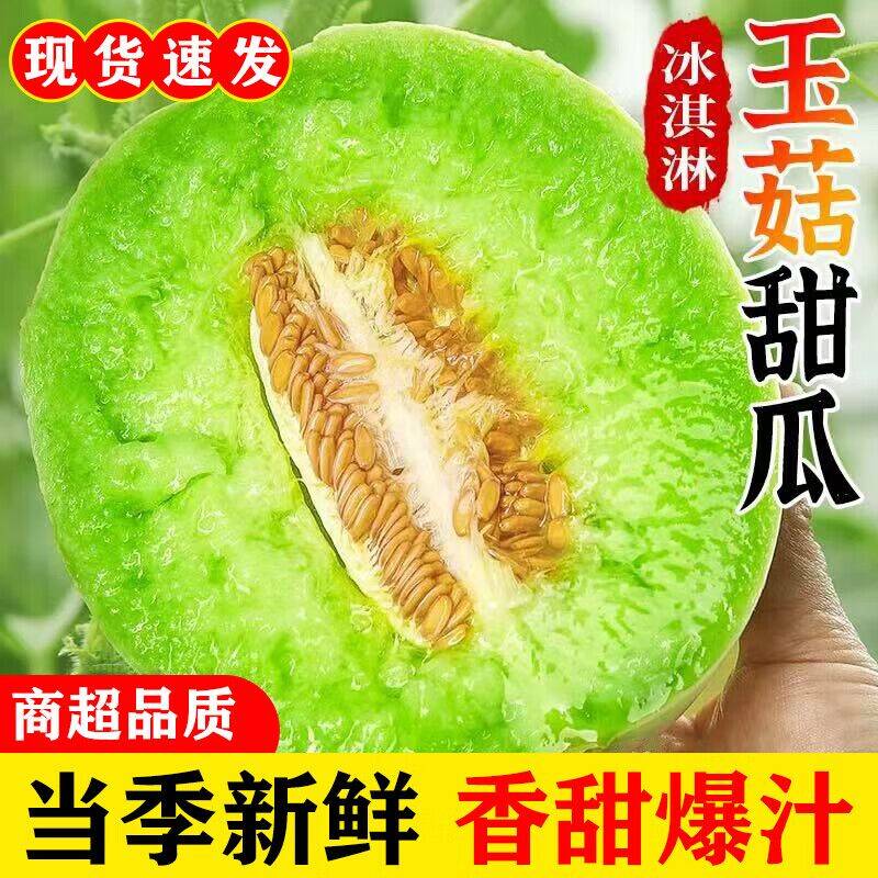 果当爱山东玉菇甜瓜4.5斤仅需10.9元