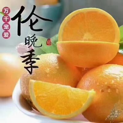PDD热销产品汇总08点档更新2026/05/31