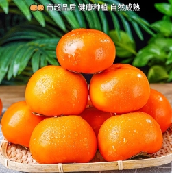 14.9元包邮！鲜宝道脆5斤中柿子净重4.5斤单果120g