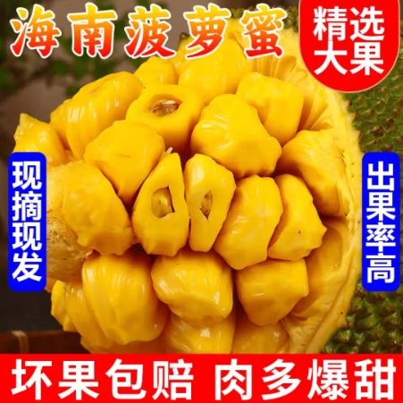 39元包邮！海南菠萝蜜 黄肉菠萝蜜一整个15-20斤