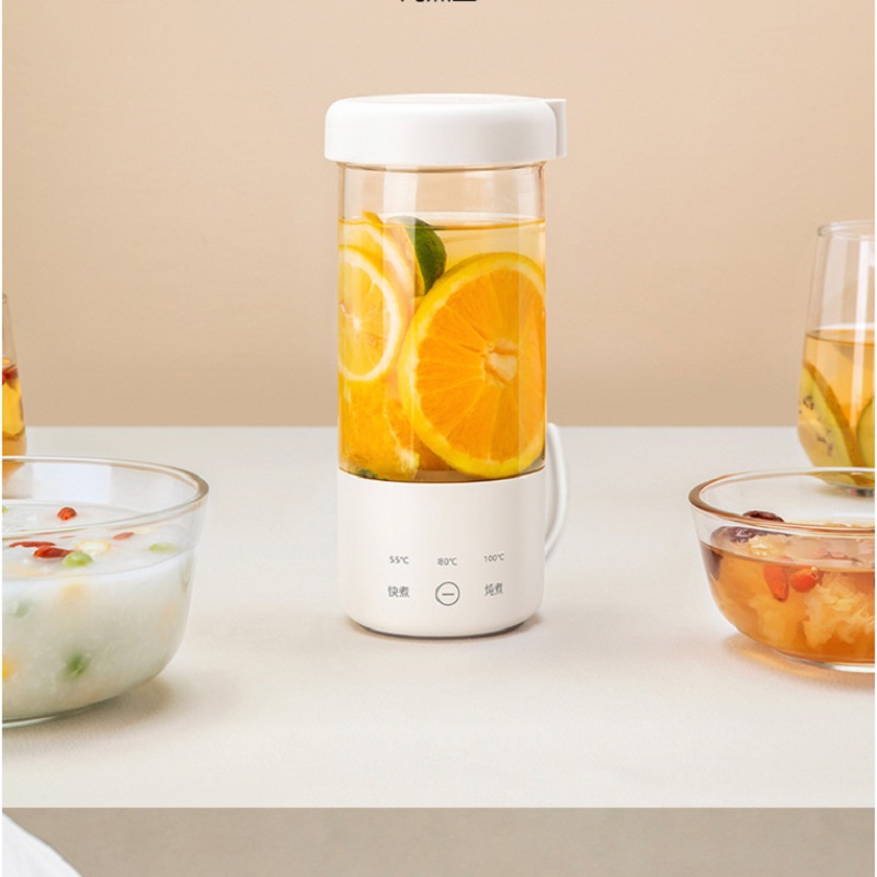 饭来！养生杯热水壶电炖杯烧水杯