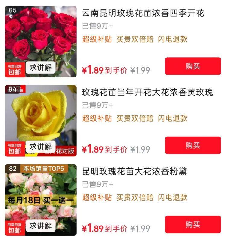0.01元抢玫瑰花