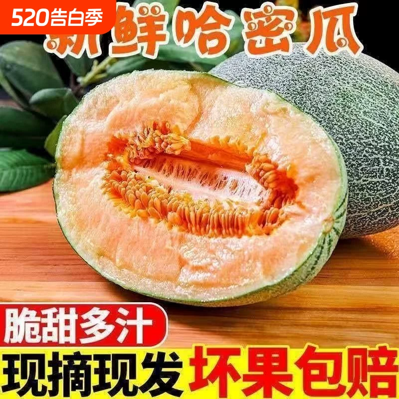 彩箱正宗海南哈密瓜小蜜25网纹西州蜜瓜新鲜水果当季孕妇整箱现摘