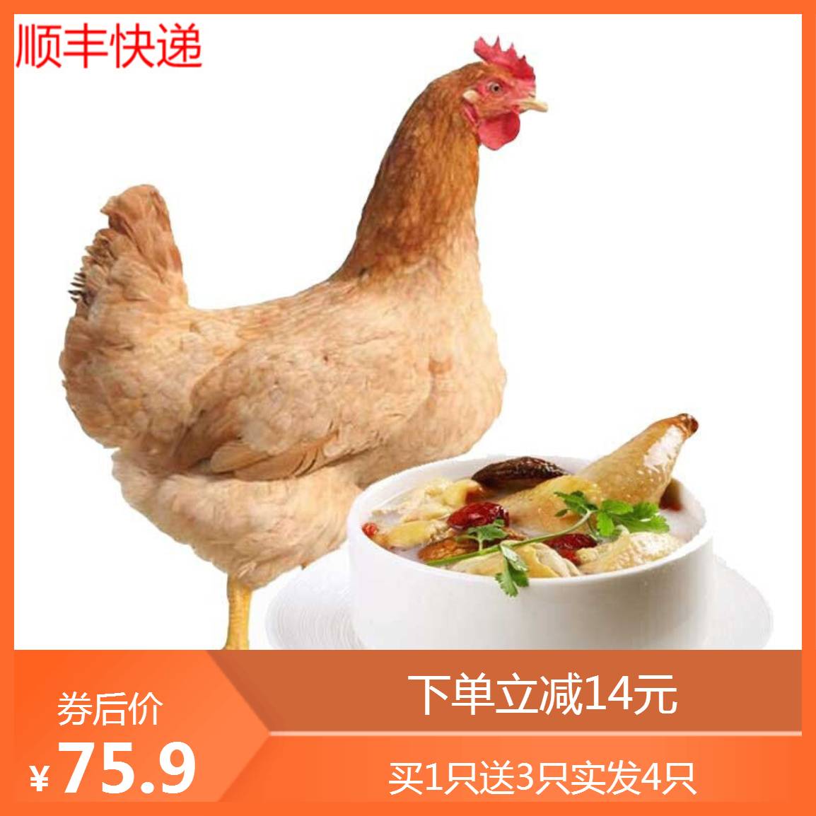 农家三黄鸡土鸡 700g/只四只