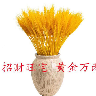 3.58元包邮！黄金麦穗装饰天然干花