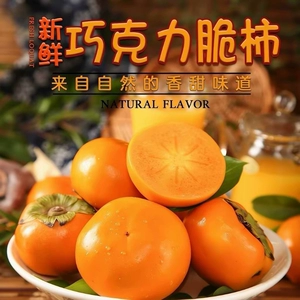 山西正宗阳丰巧克力脆柿新鲜采摘甜脆可口孕妇精品柿子产地直达