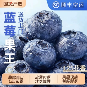 正宗云南蓝莓L25花香顺丰新鲜水果现摘高山脆甜鲜果产地直发包邮