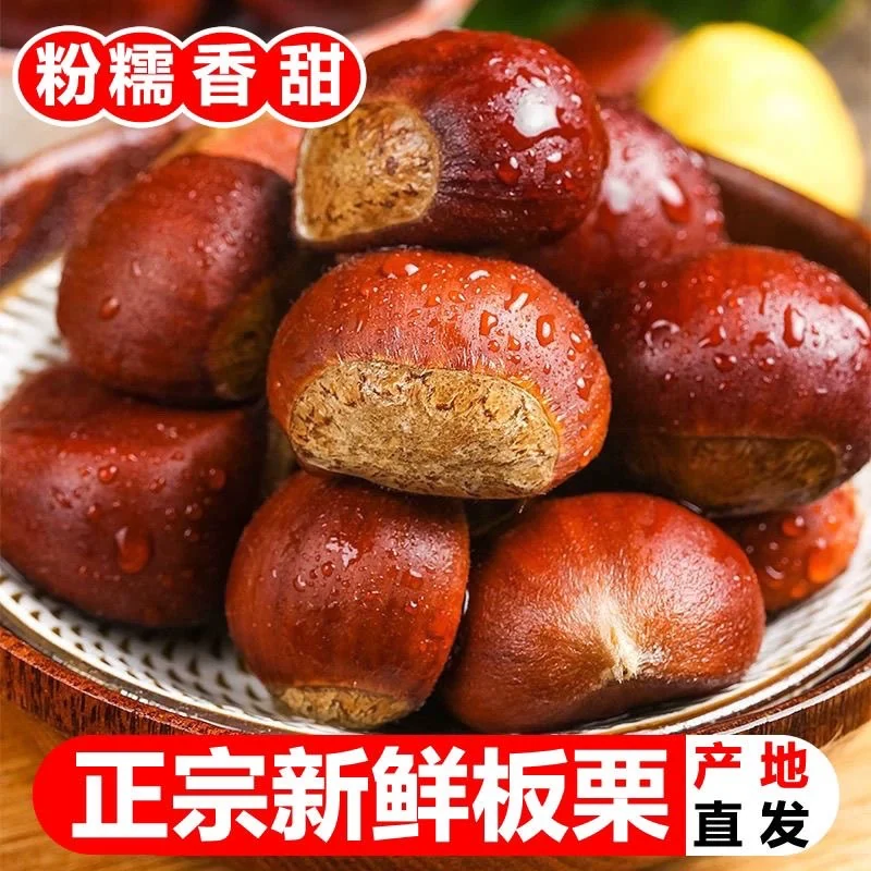 丹东板栗5斤