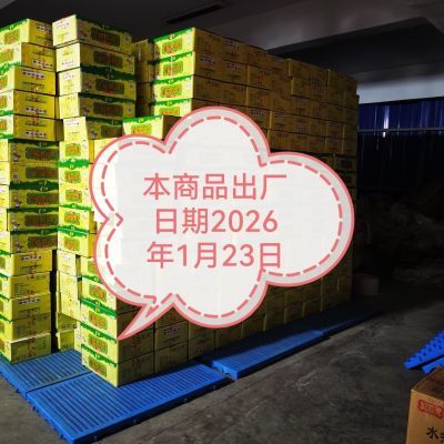 PDD热销产品汇总08点档更新2026/03/08