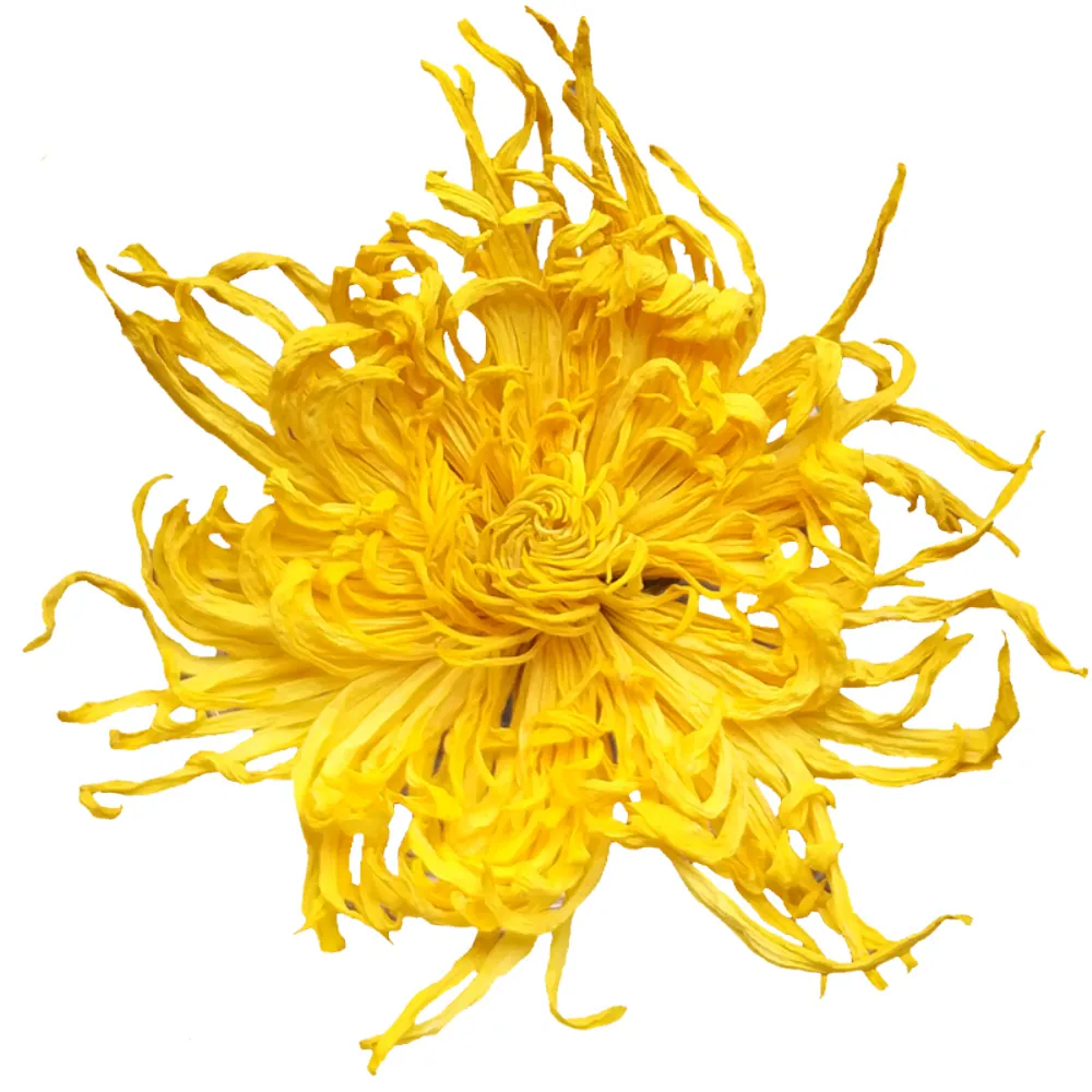 第2件5元菊花茶金丝皇菊熬夜去火