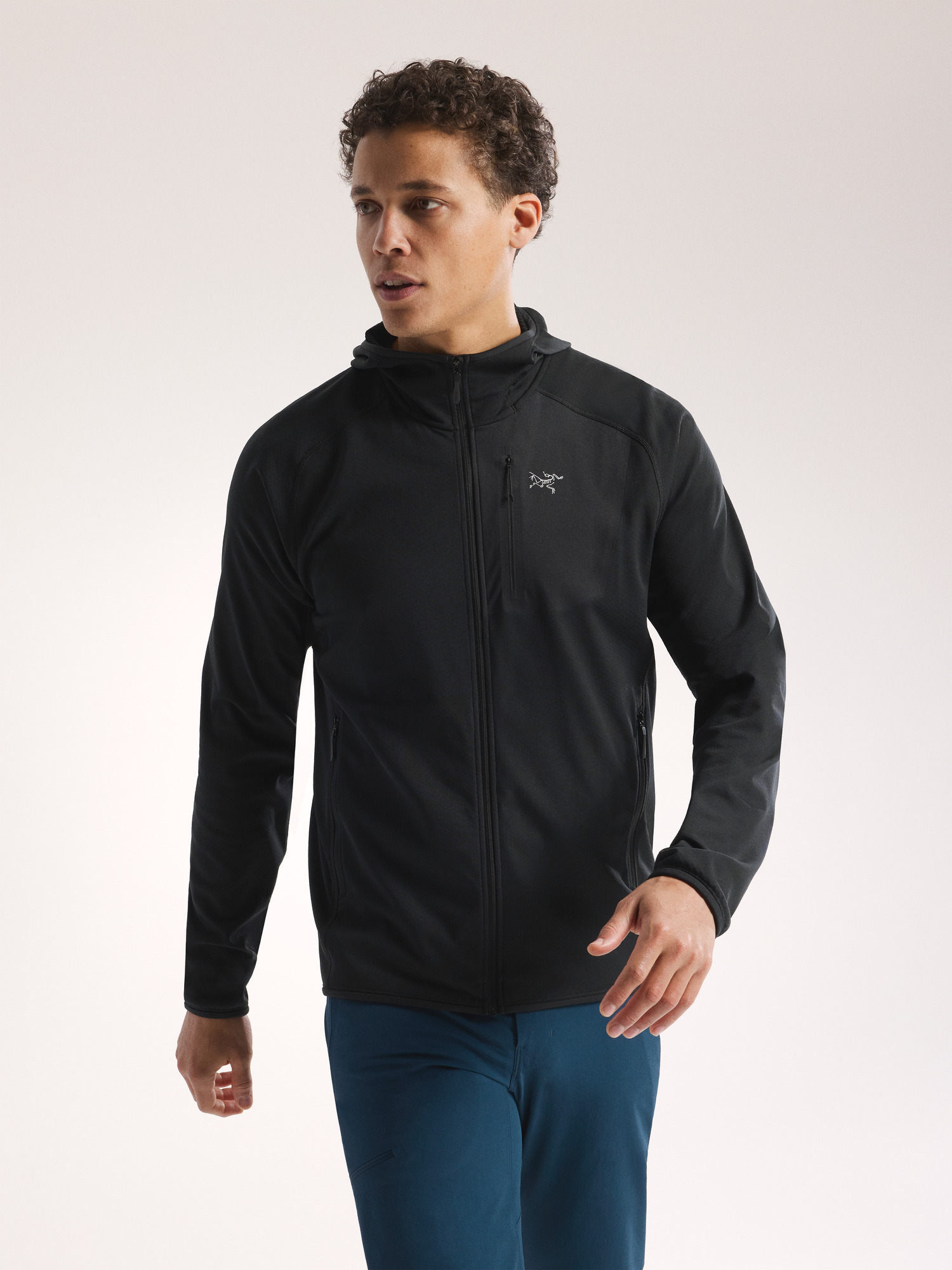 Arcteryx Delta Hoody Men's