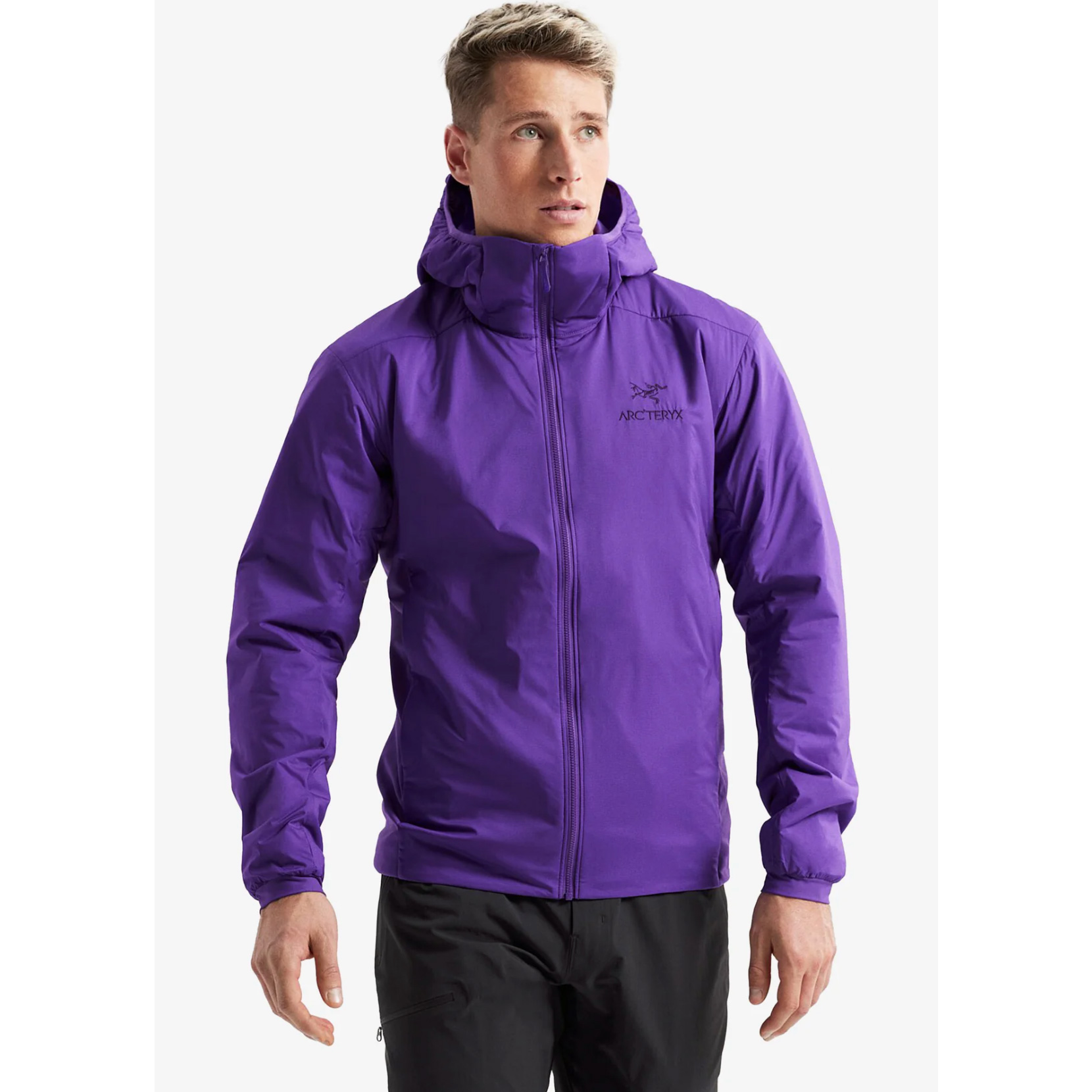 Arc'teryx Atom Insulated始祖鸟男款夹克lola银幻紫M码