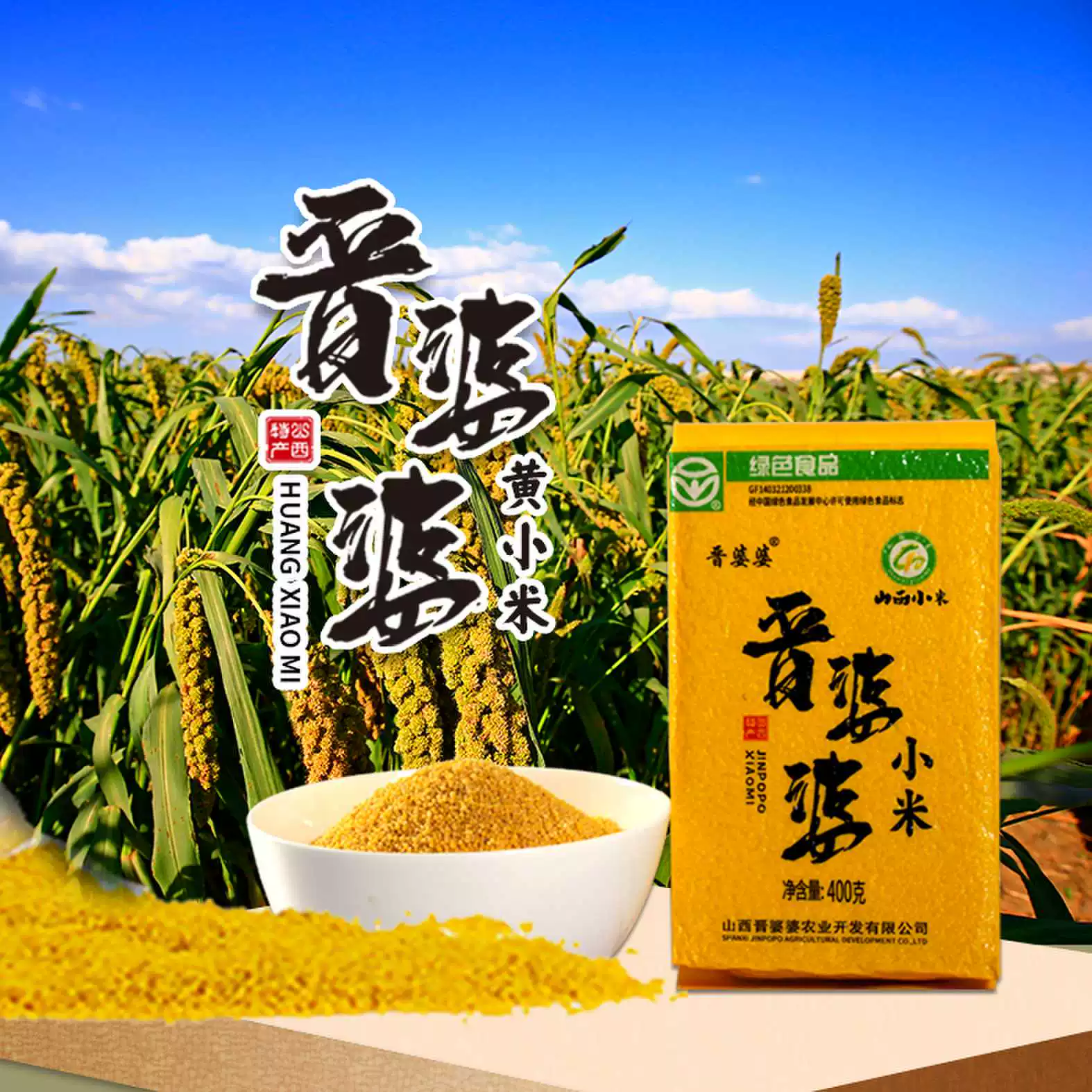 山西小米绿色食品小米杂粮粥小米粥黄小米