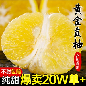 胡柚湖南黄金贡柚10斤包邮怀化新鲜当季水果春香象山青阳光鲜果