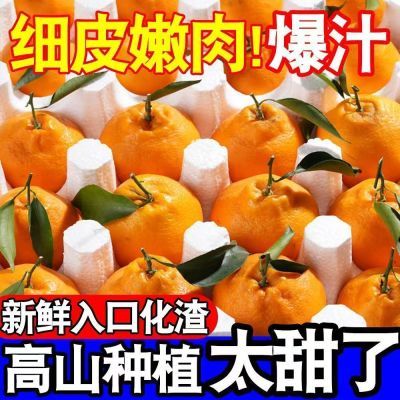 PDD热销产品汇总14点档更新2025/11/19