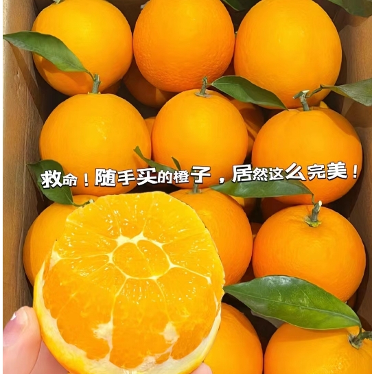 12.9元包邮！一年一季的赣南脐橙 带箱5-6斤超大果（好评商家返3元）