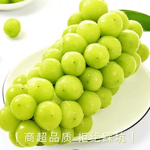 正宗阳光玫瑰葡萄顺丰青提脆甜新鲜水果应当季无籽香印提子晴王