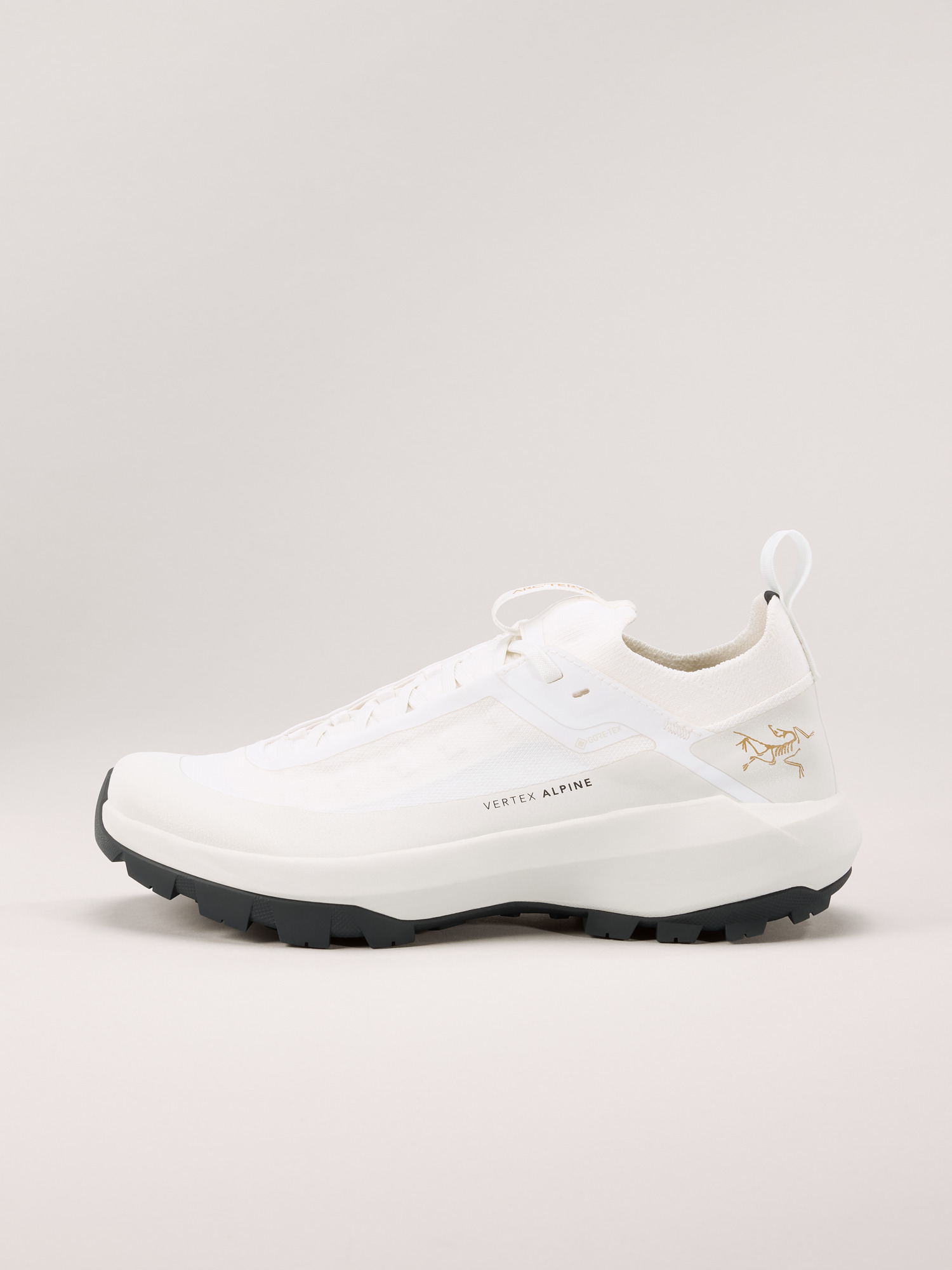 Arcteryx Vertex Alpine GTX Shoe Women's