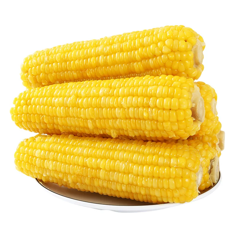 【农投】黄糯玉米280g-350g*8根彩袋装