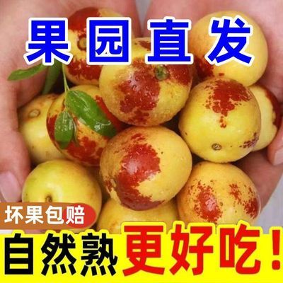 PDD热销产品汇总08点档更新2026/09/22
