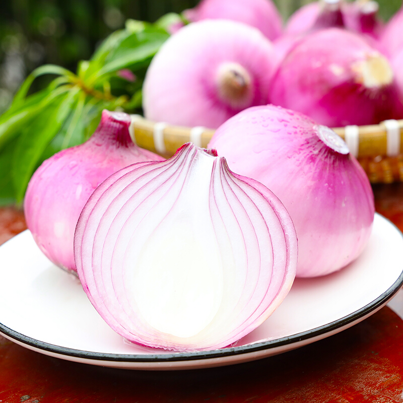 【批发】云南紫皮洋葱新鲜农家现挖5斤装