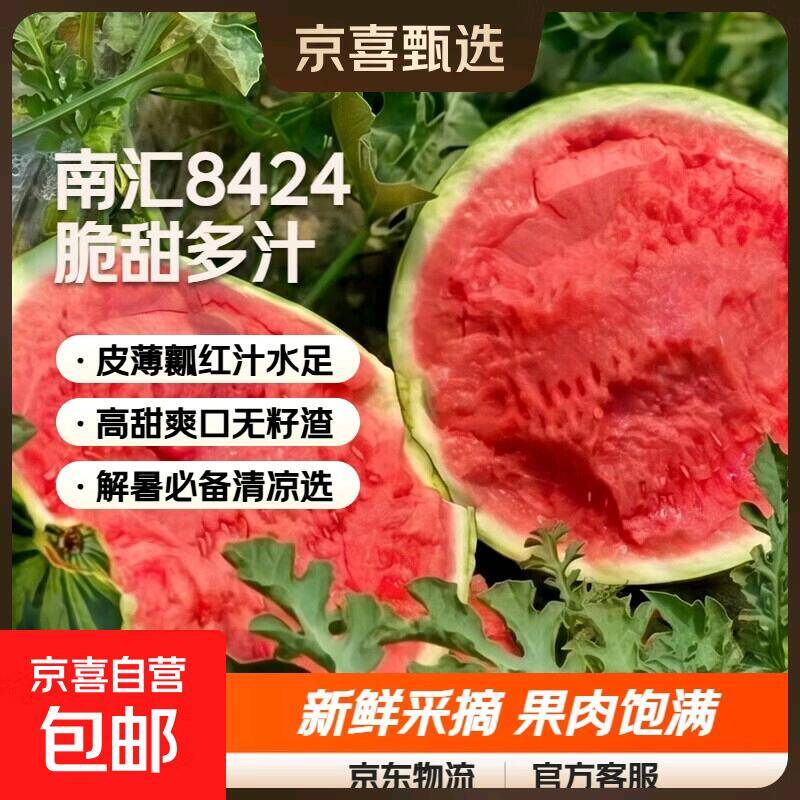 京东物流泡沫箱发货！11.8麒麟西瓜新鲜采摘8-10斤